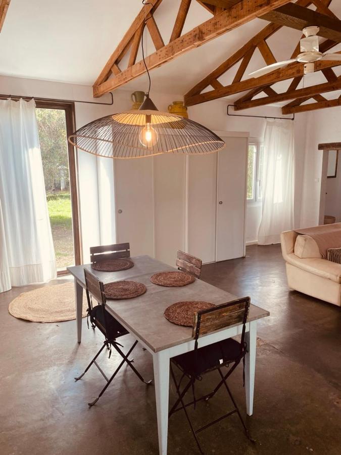 Casa Cote Sud - Mas Bois Fontaine Villa Nîmes Eksteriør bilde