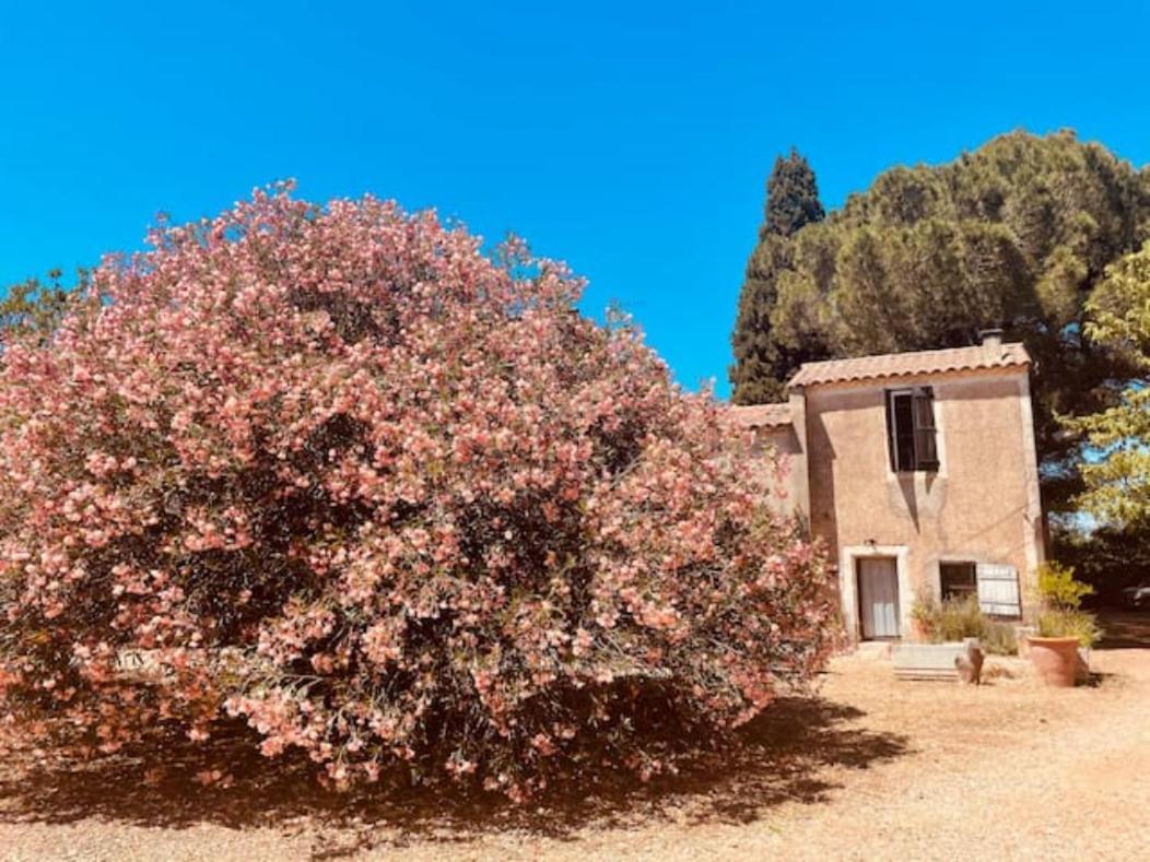 Casa Cote Sud - Mas Bois Fontaine Villa Nîmes Eksteriør bilde